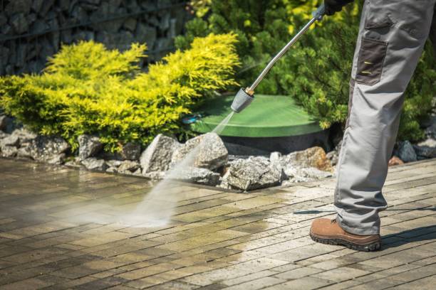 Best Dumpster Area Cleaning  in East Hemet, CA