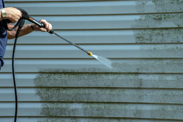 Professional Pressure Washing Services in East Hemet, CA
